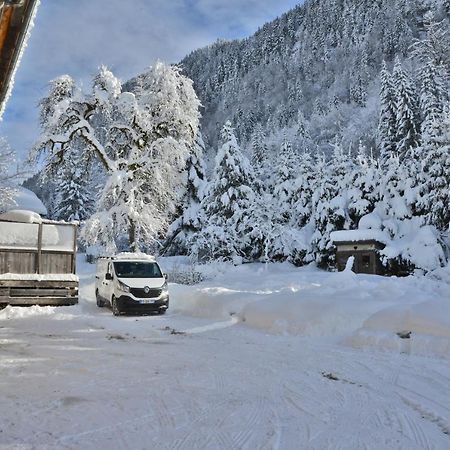 Appartement 6 Pers 70 M² Dans Chalet Chez Marie Montriond Bagian luar foto