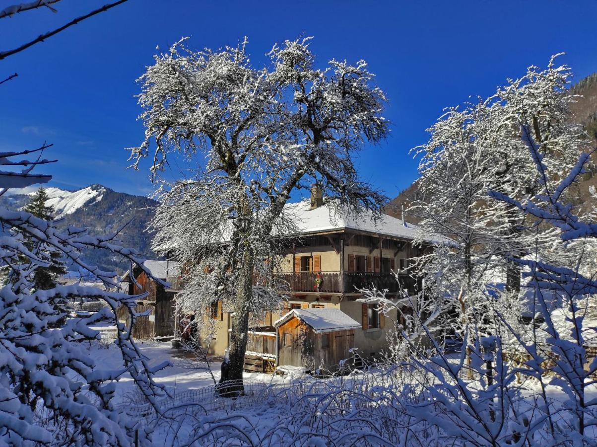 Appartement 6 Pers 70 M² Dans Chalet Chez Marie Montriond Bagian luar foto