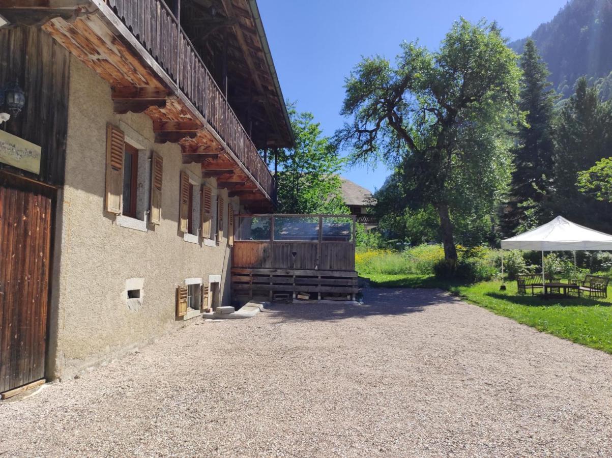 Appartement 6 Pers 70 M² Dans Chalet Chez Marie Montriond Bagian luar foto